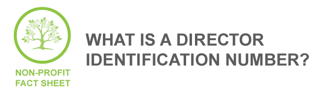 Director identification number Director identification number